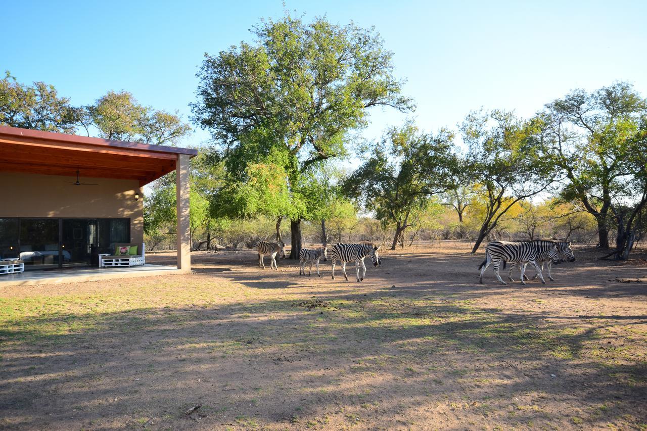 סקוקוזה Mananga Bush Villa מראה חיצוני תמונה